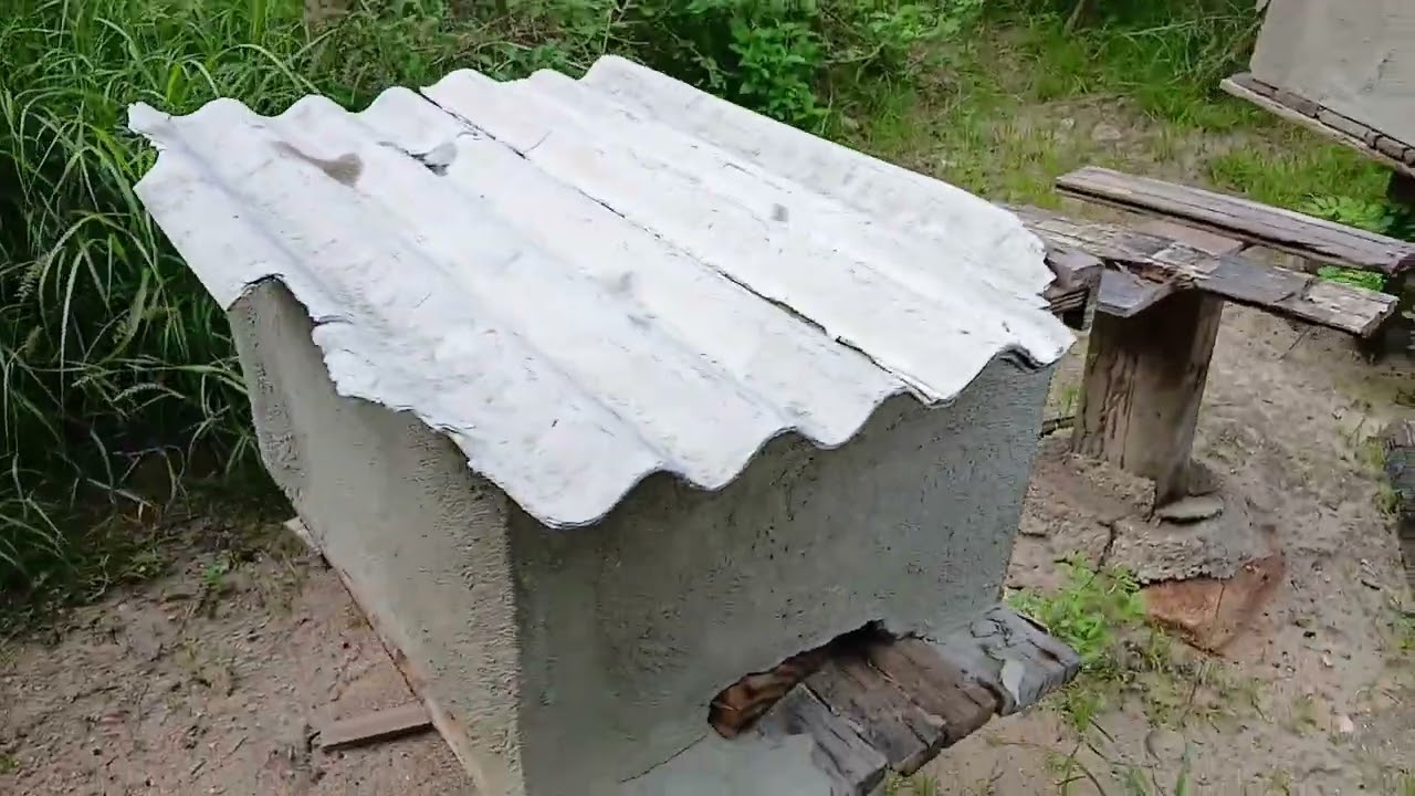 Visita a um apiário no Pernambuco 