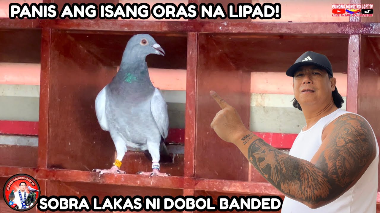 EP1197 ANG TINDE NA NI DOBOL BANDED PANIS ANG ISANG ORAS NA LIPAD!