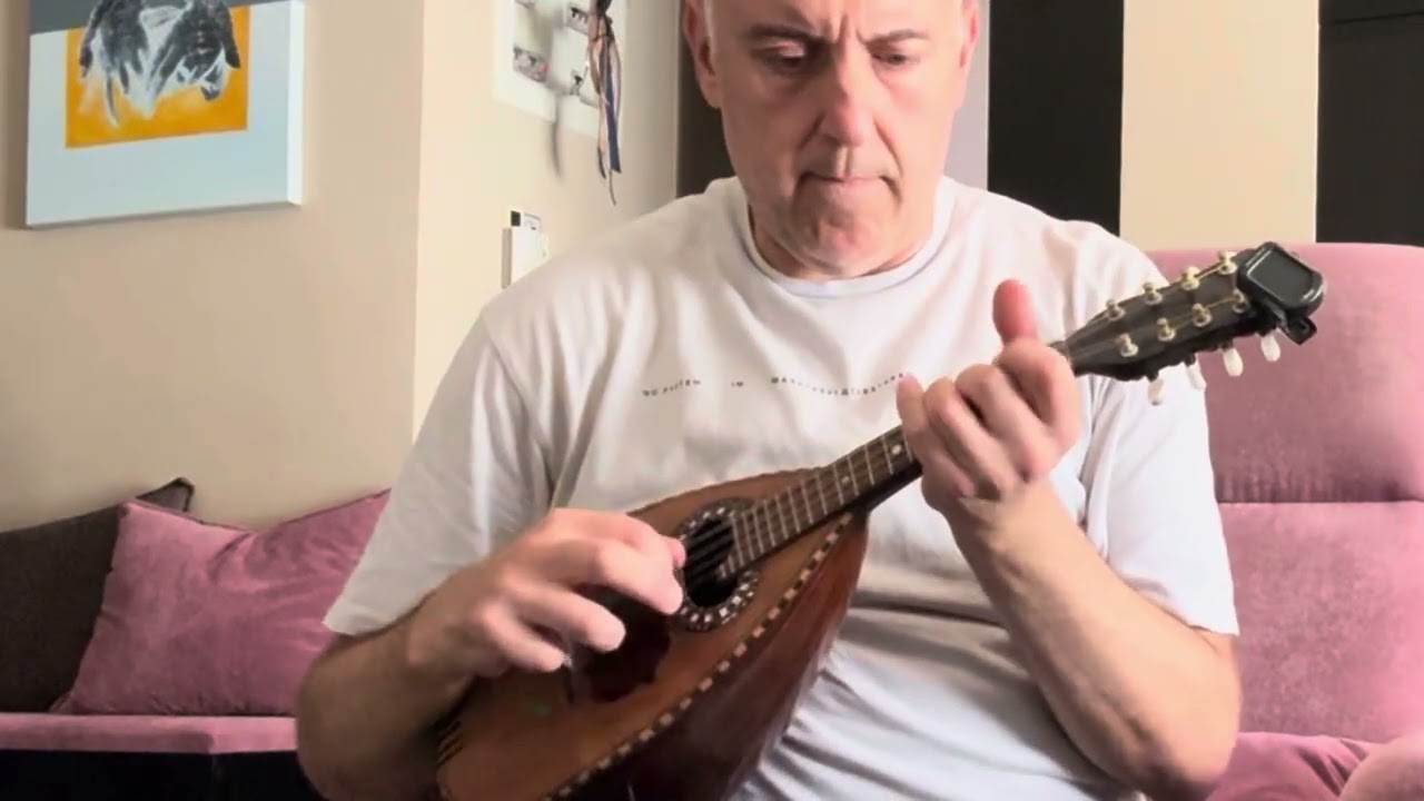 My mandolins