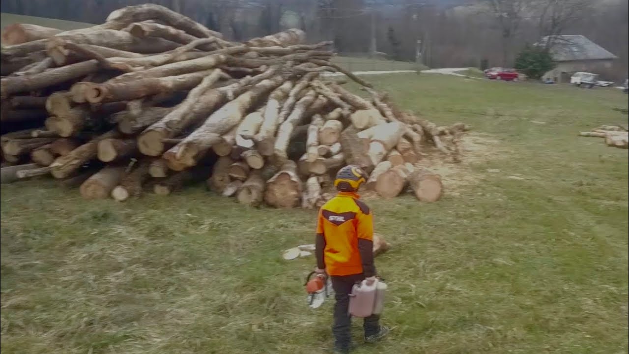 bois de chauffage stihl ms 462