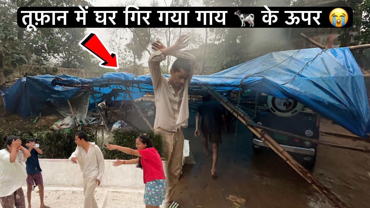 तूफ़ान में घर गिर गया गाय 🐄 के ऊपर 😰 | Thunderstorms 🌩️