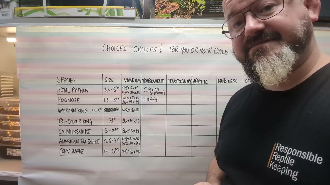 Snakes N Adders Reptile Advice: A video for parents of children wanting their first snake.