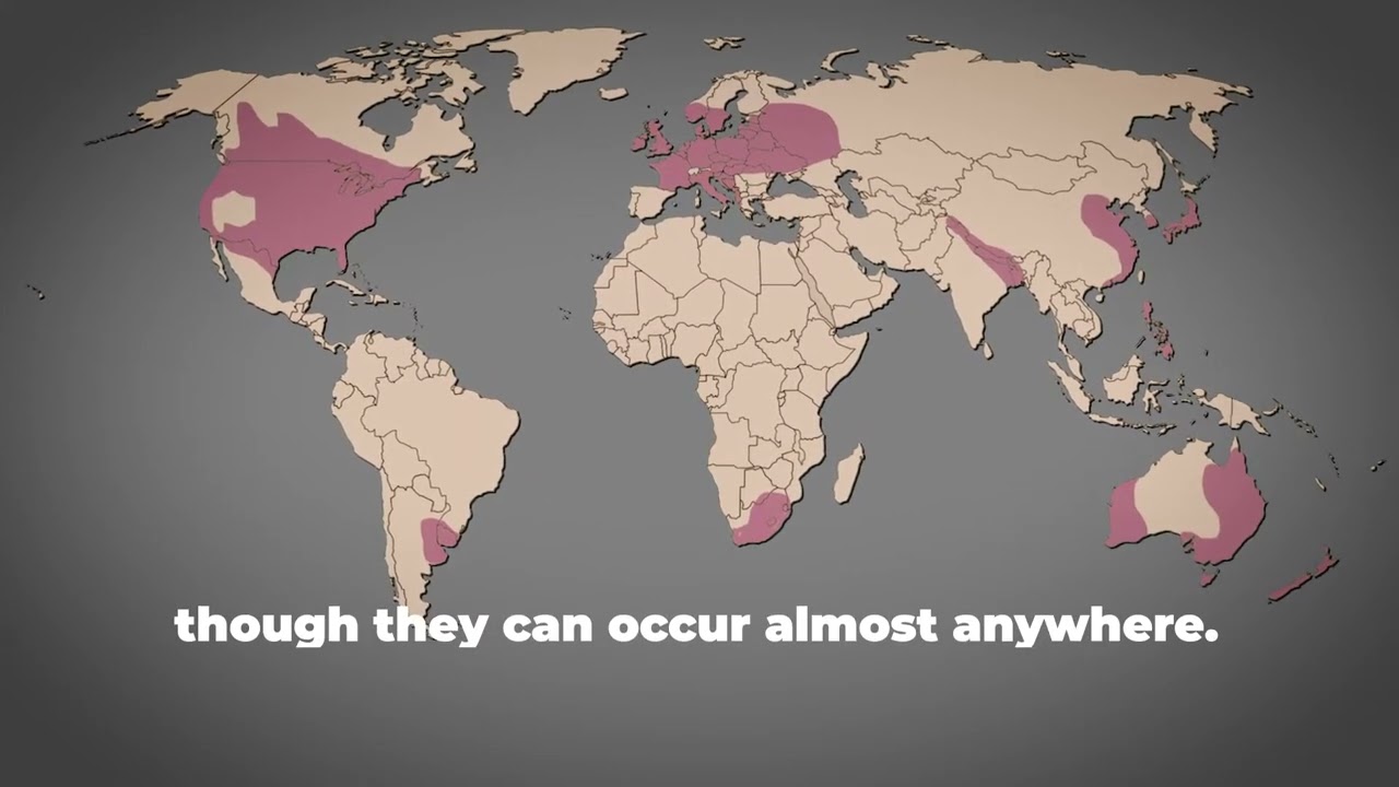 Tornados | NOAA NSSL Video
