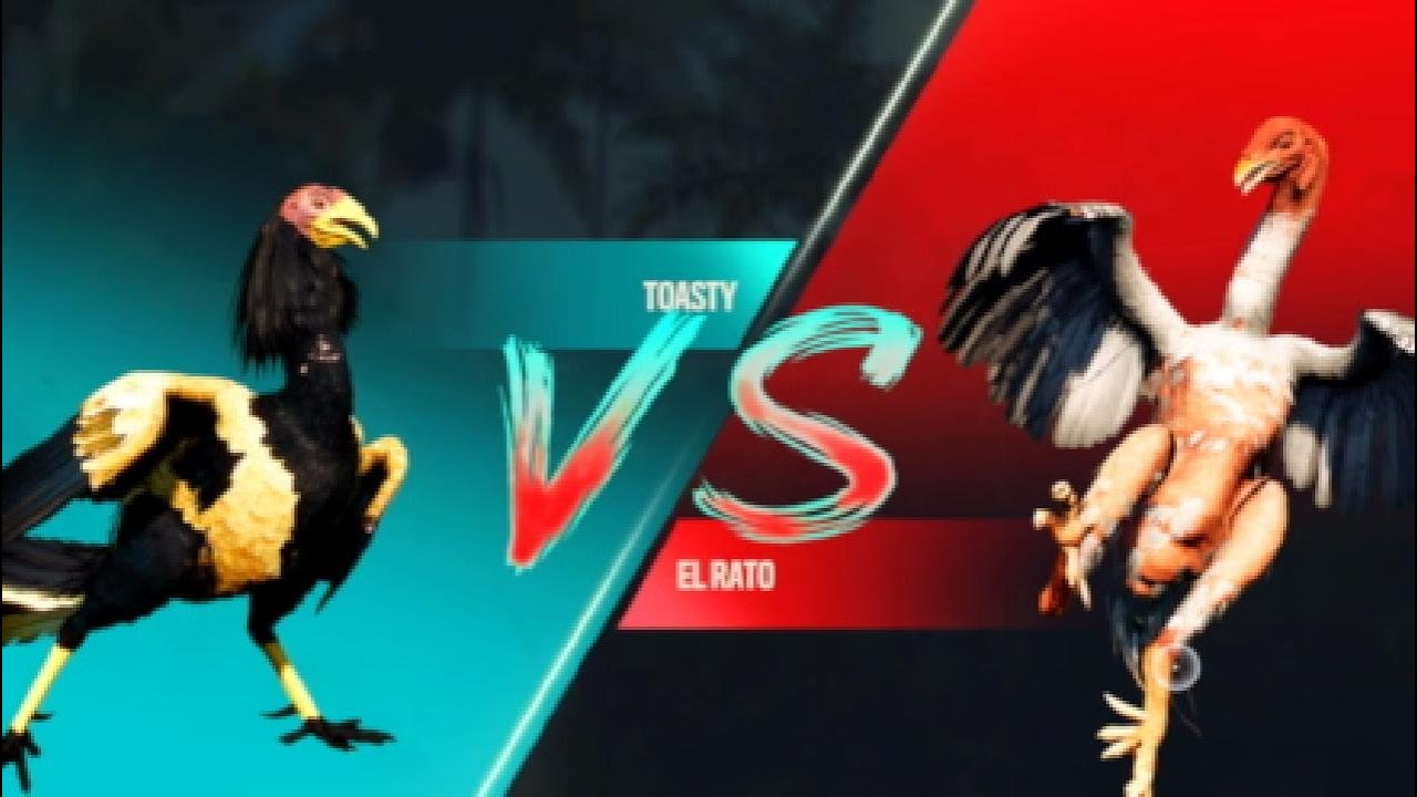 A quick Chicken Fight