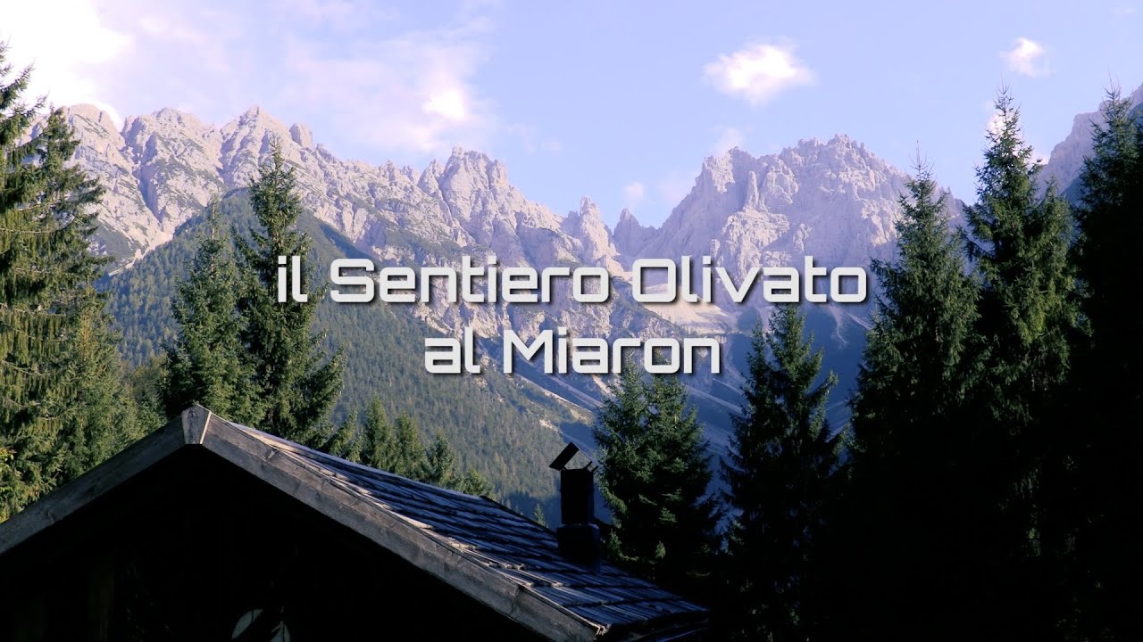 Il Sentiero Olivato al Miaron