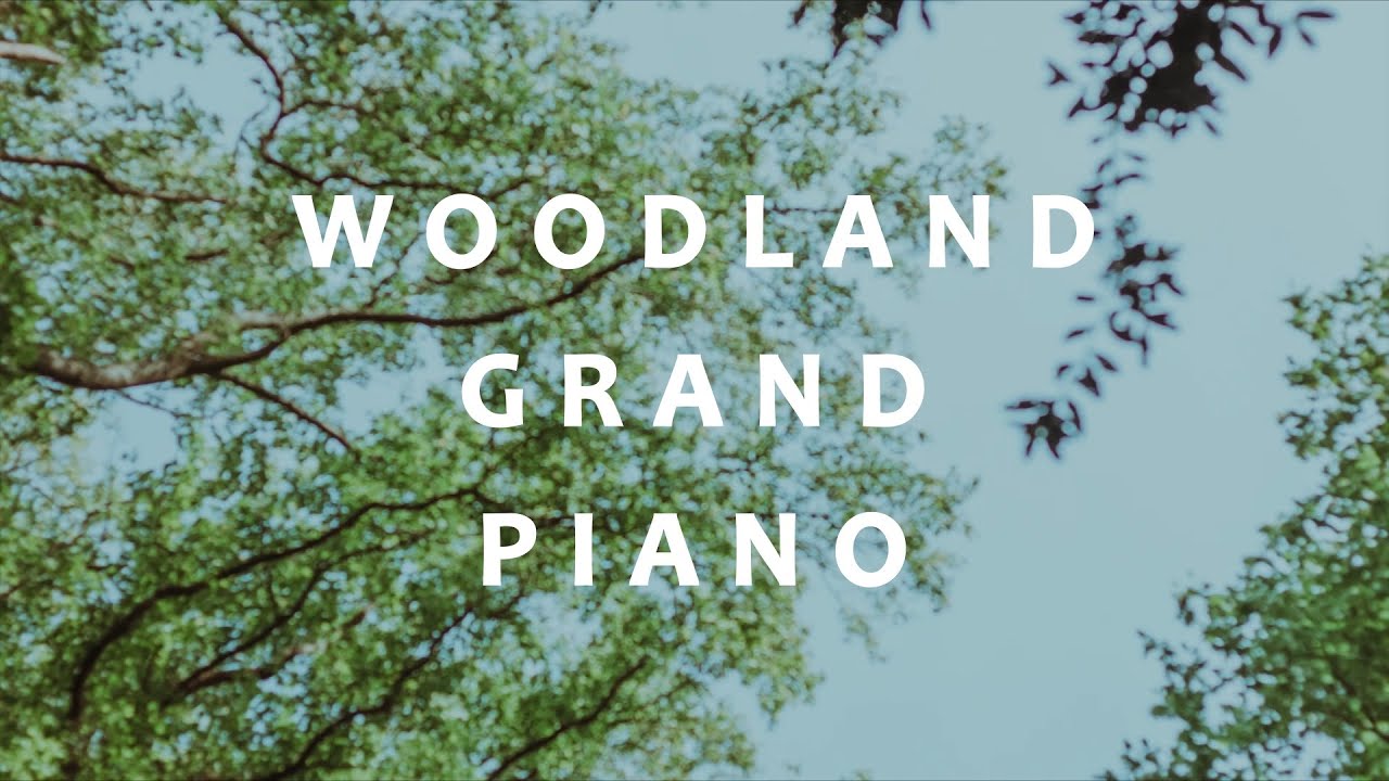 Woodland Grand Piano - Walkthrough