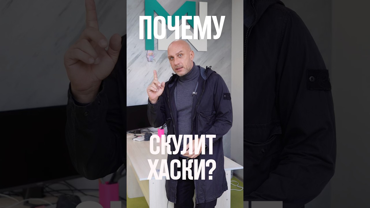 Почему скулит @Husky4x4?