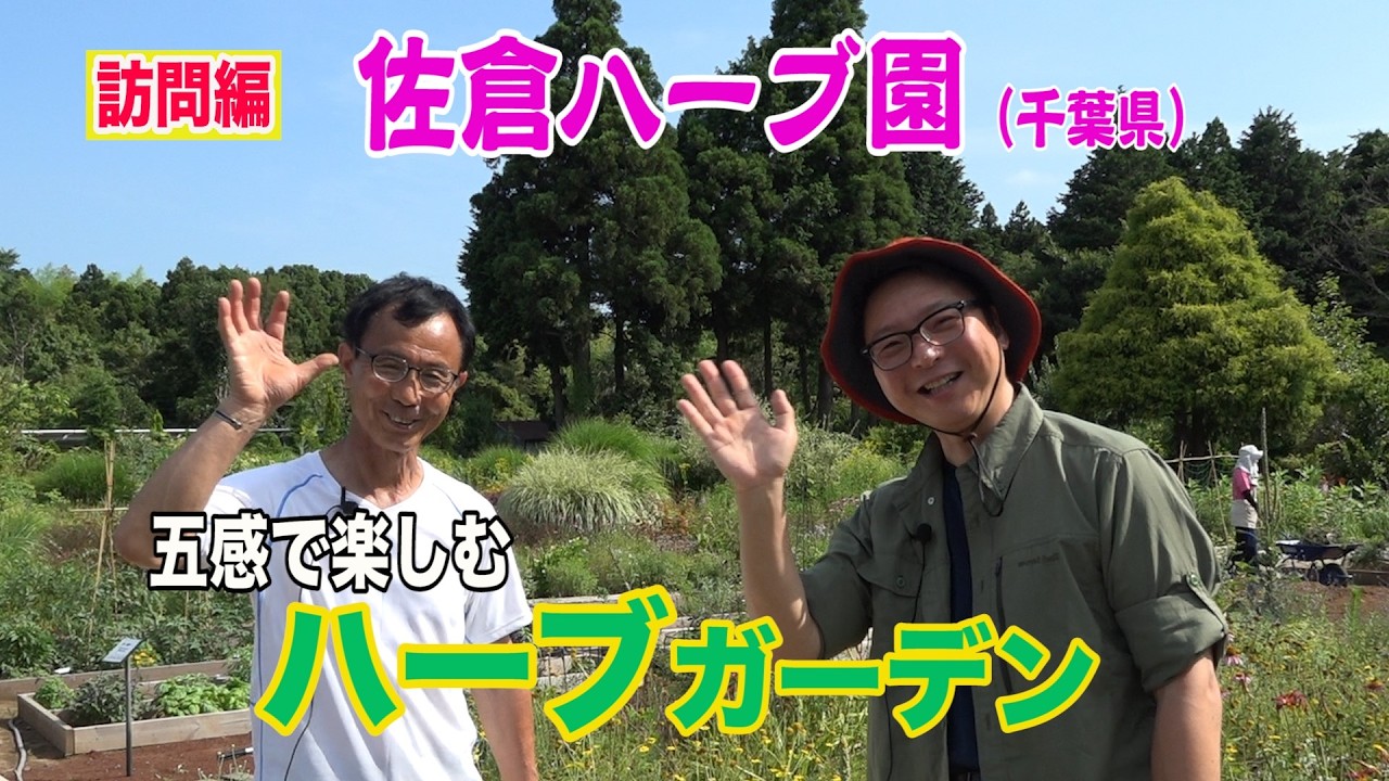 四季折々の植物を五感で楽しめる自然豊かなハーブ園　佐倉ハーブ園（千葉県）を訪問～ガーデンドクターTV65 RM