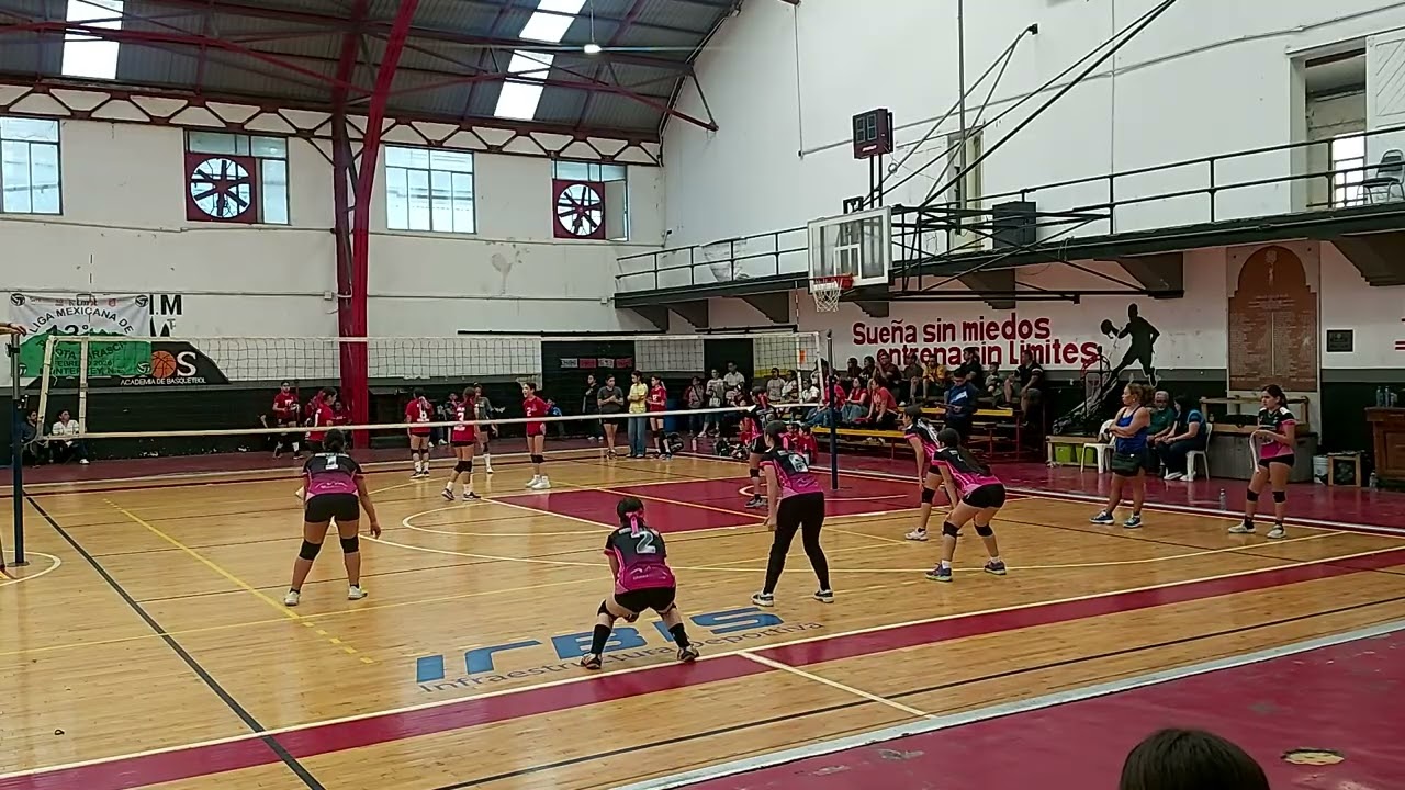 Escobedo & Twister morado