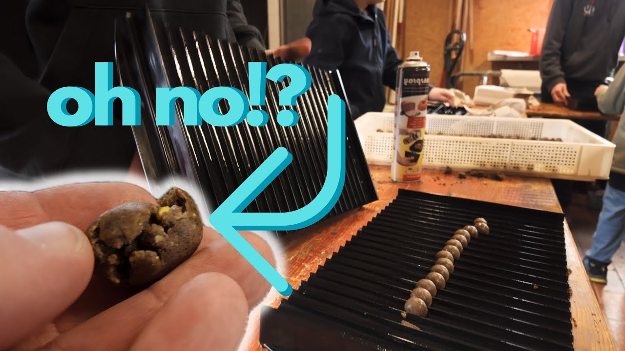 Boilies selber machen - Mit der Jugendgruppe! Es wird wild!