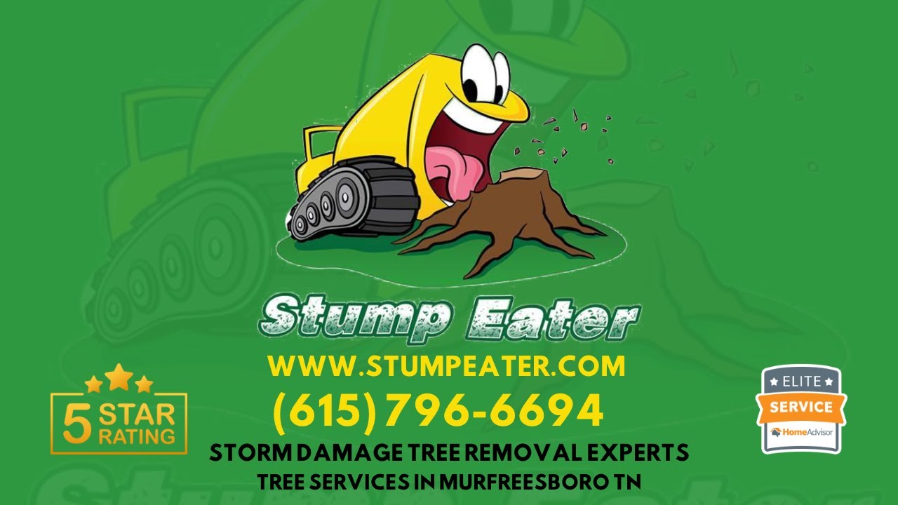 Emergency Storm Damage Tree Removal Services in Murfreesboro, TN | Stump Eater