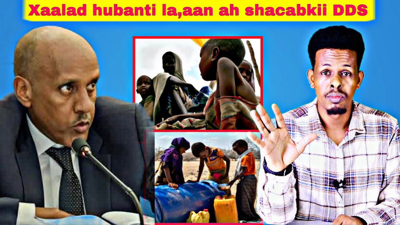Shacabkii DDS oo abaaro & macluul xogan wajahaya iyo Mustafe Cagjar oo 15 Milyan ogu deeqay Amxaro.