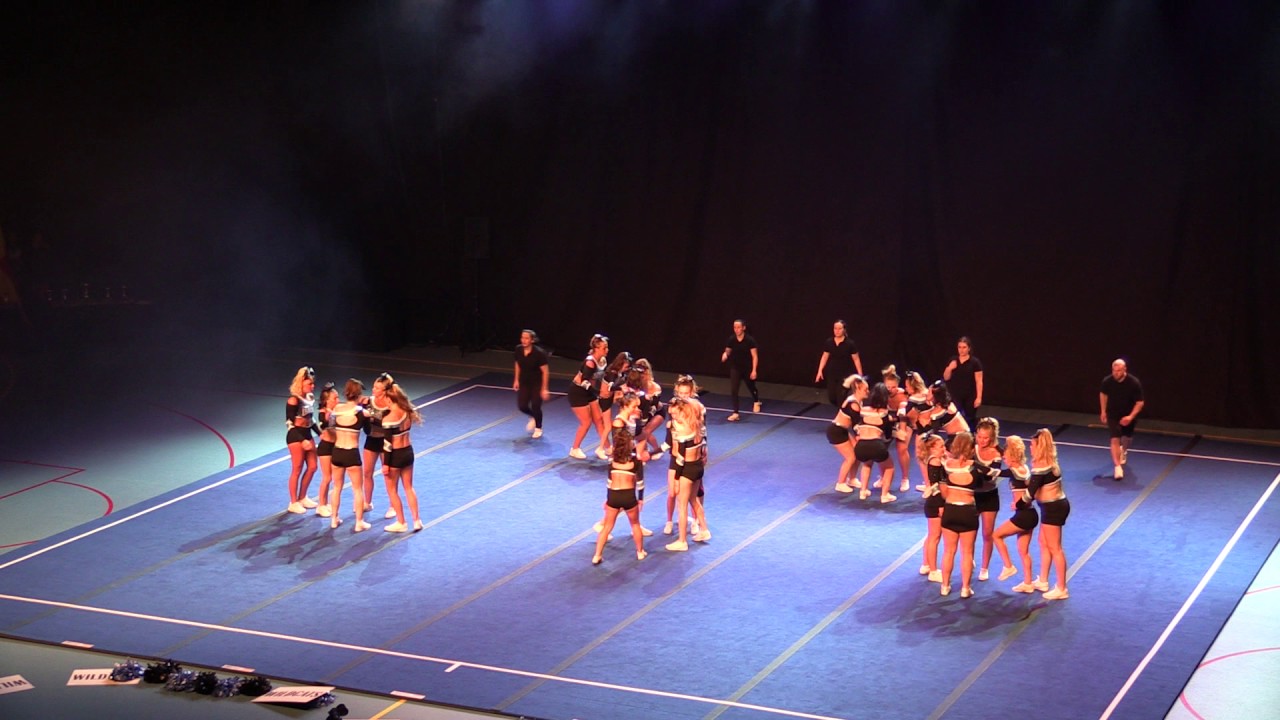 Cheerleading DM 2017, Gothenburg Cheer One Wildcats
