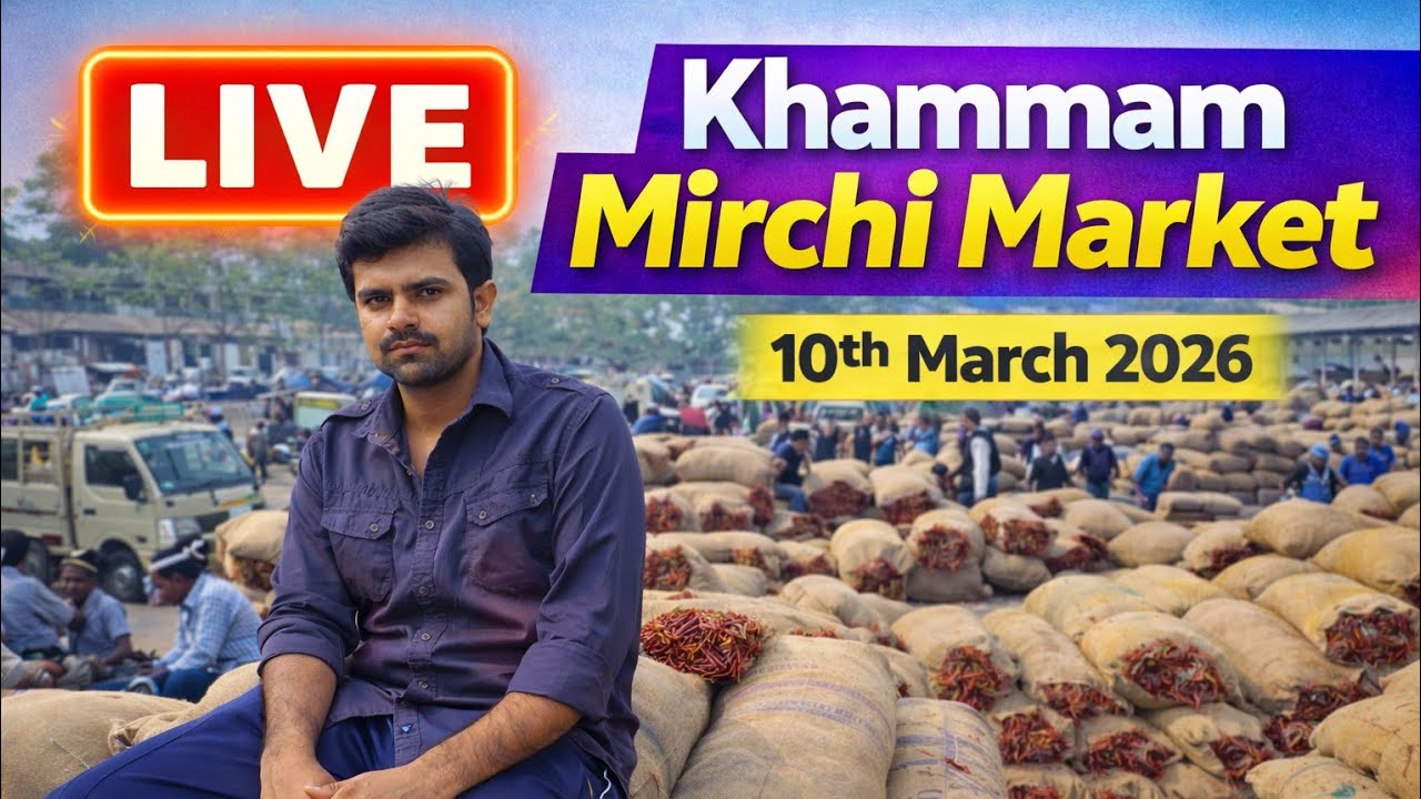 Khammam Mirchi Market Live | ఈరోజు ఖమ్మం జెండా పాట 10th #mirchi #price #today #telangana #virallive