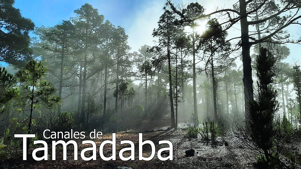 CANALES de TAMADABA (comentada)(junio 2022)