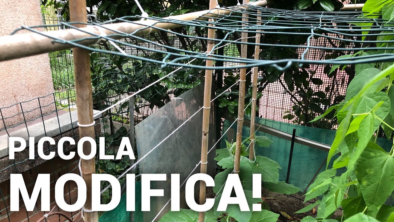 Il Mio Primo ORTO | Piccola MODIFICA Alla STRUTTURA Delle ZUCCHINE