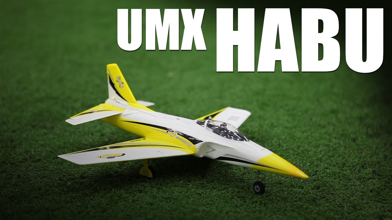 Flite Test - UMX Habu - REVIEW