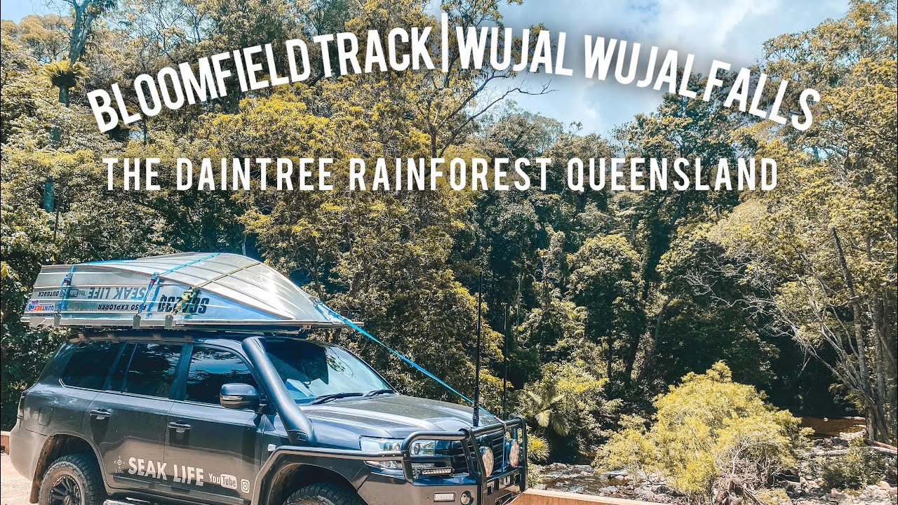 BLOOMFIELD TRACK | WUJAL WUJAL FALLS | THE DAINTREE RAINFOREST QUEENSLAND