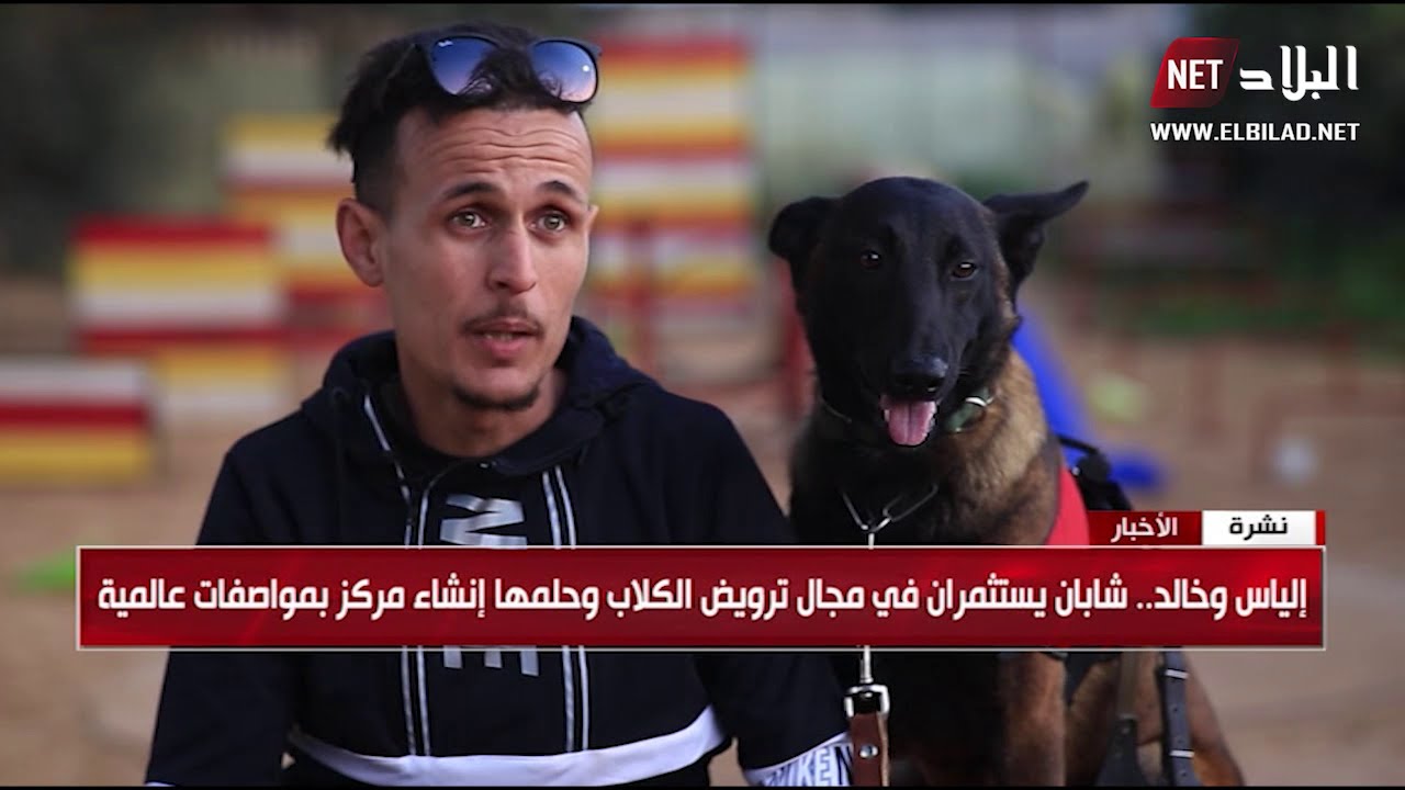 ترويض الكلاب ..مهنة محفوفة  بكثير من المخاطر..