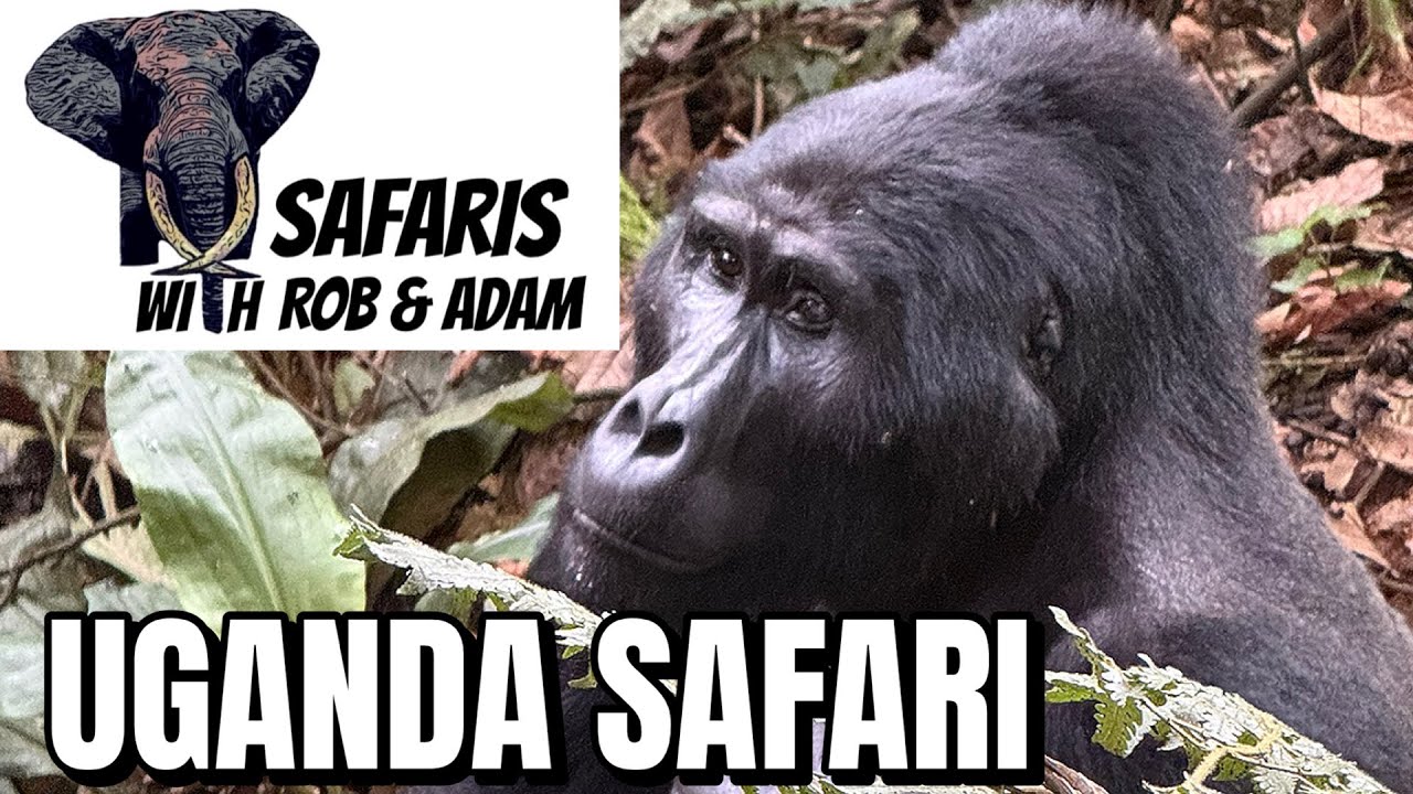 NatureQuest 2025 Uganda Safari