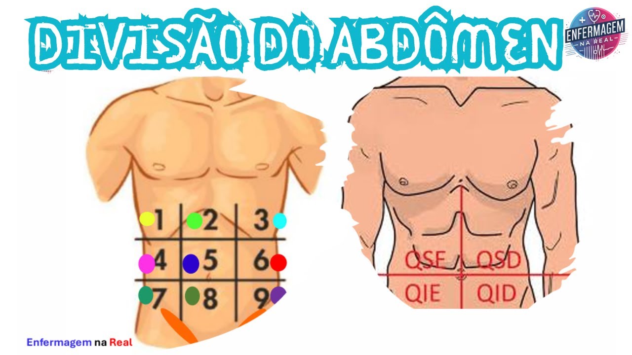 DIVISÃO DO ABDÔMEN: Como Usar os Quadrantes Abdominais para Diagnósticos Rápidos e Precisos