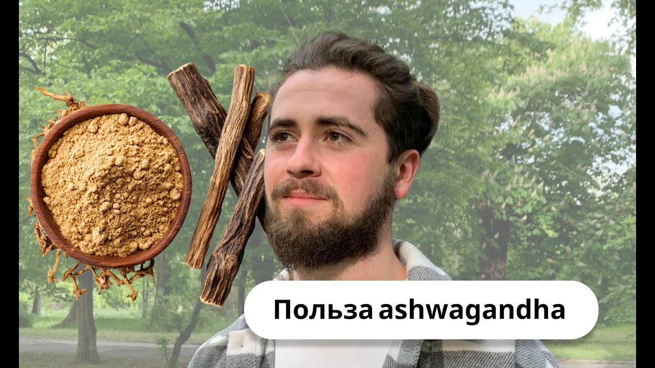 Ашваганда: Панацея для Тестостерона или Миф?