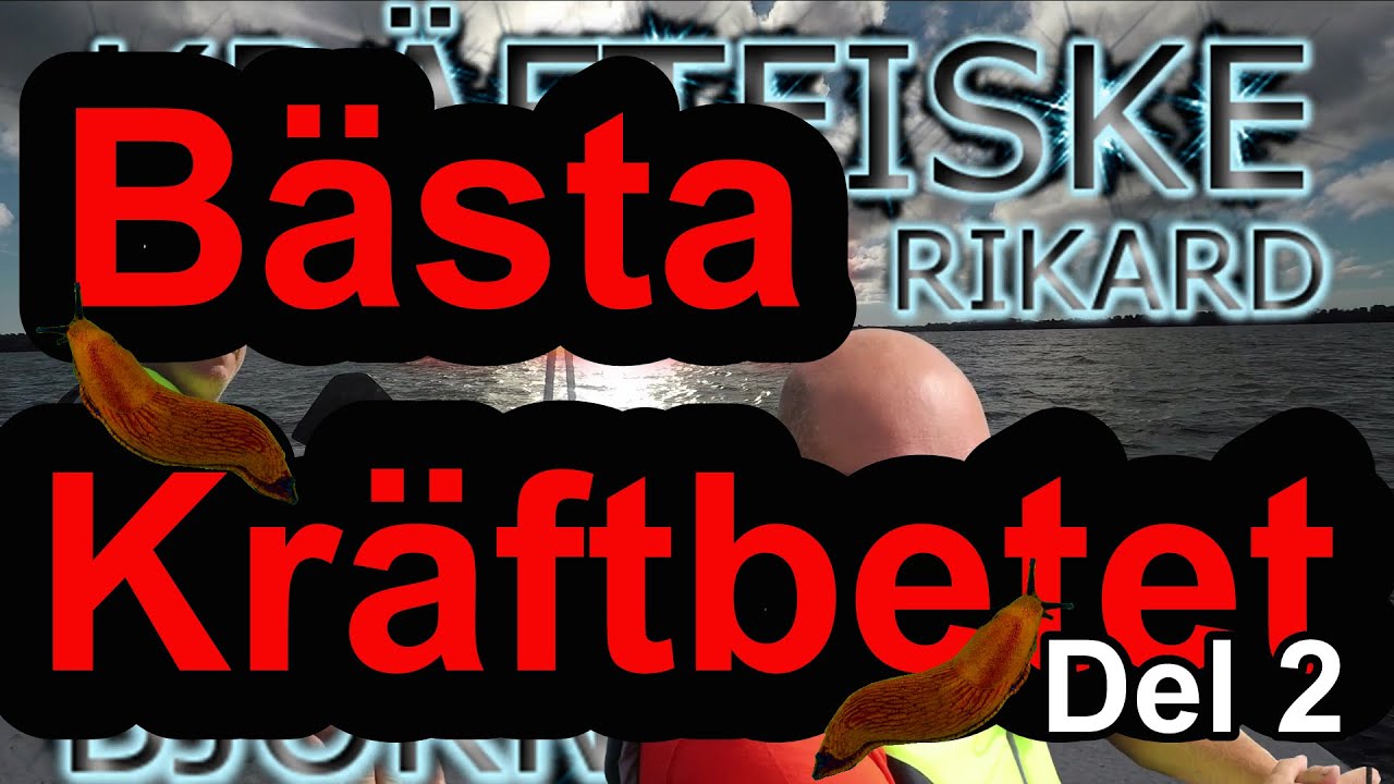 MÖRDARSNIGLAR ÄR DET BÄSTA KRÄFTBETET? - Bästa kräftbetet 2020