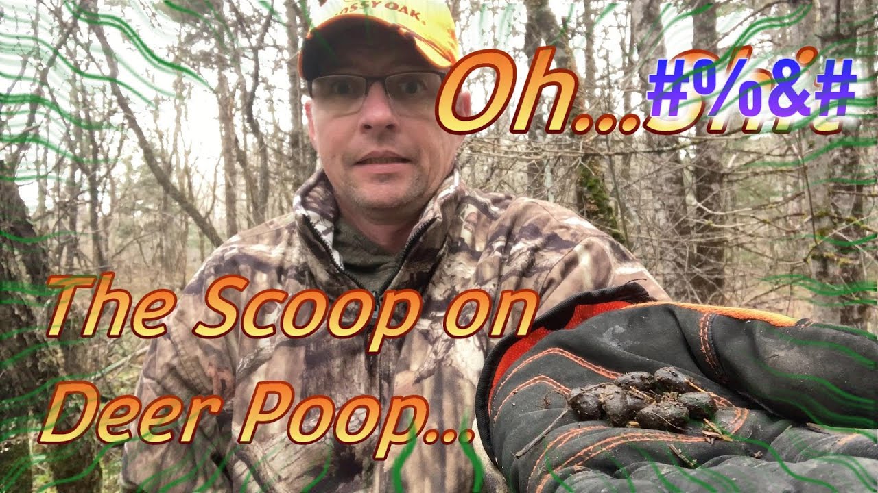 The Scoop on Deer POOP !!