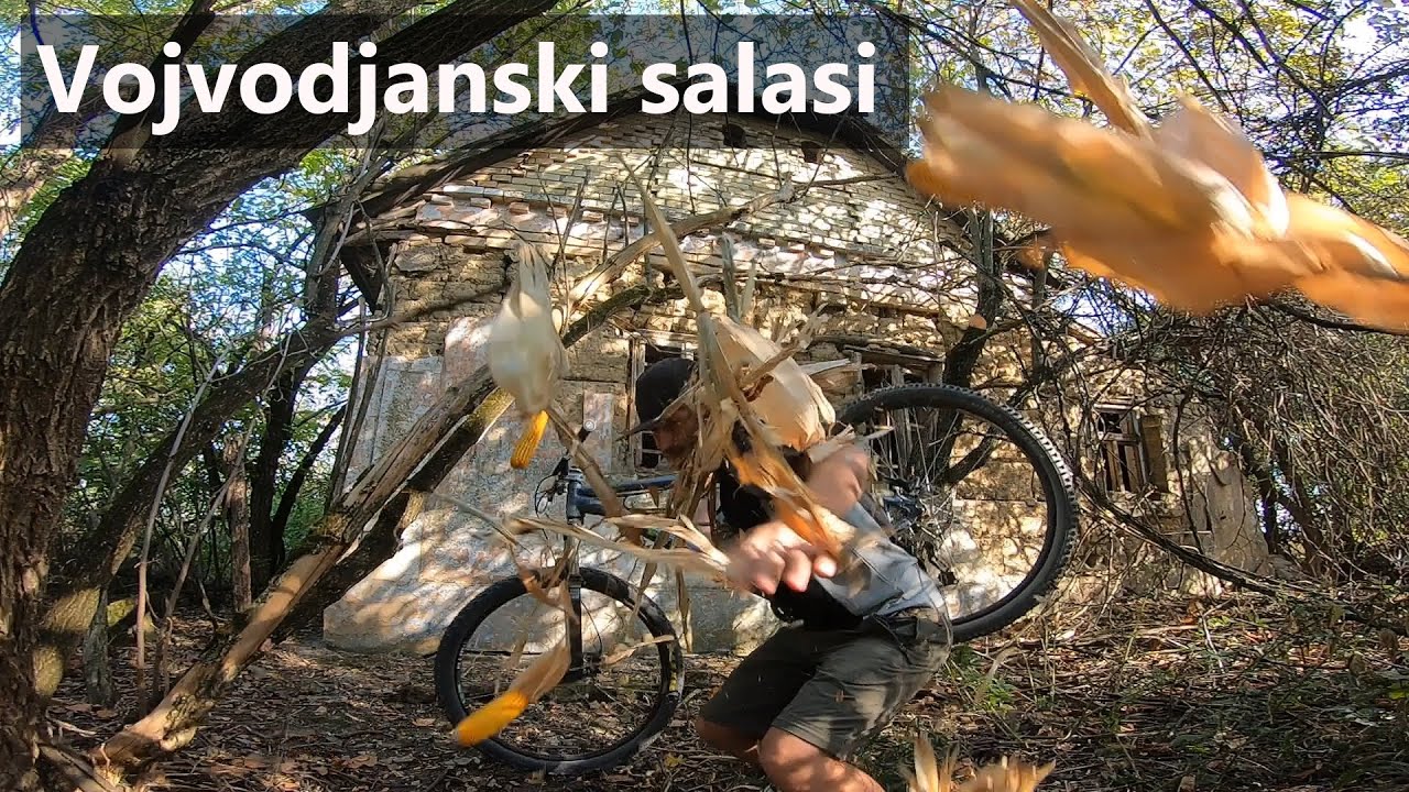 Vojvodjanski salasi