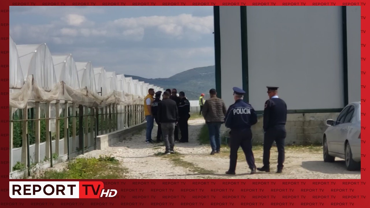Tension n&euml; Dimal, IMT nd&euml;rhyn p&euml;r prishjen e ser&euml;s, fermeri: Po m&euml; falimentoni