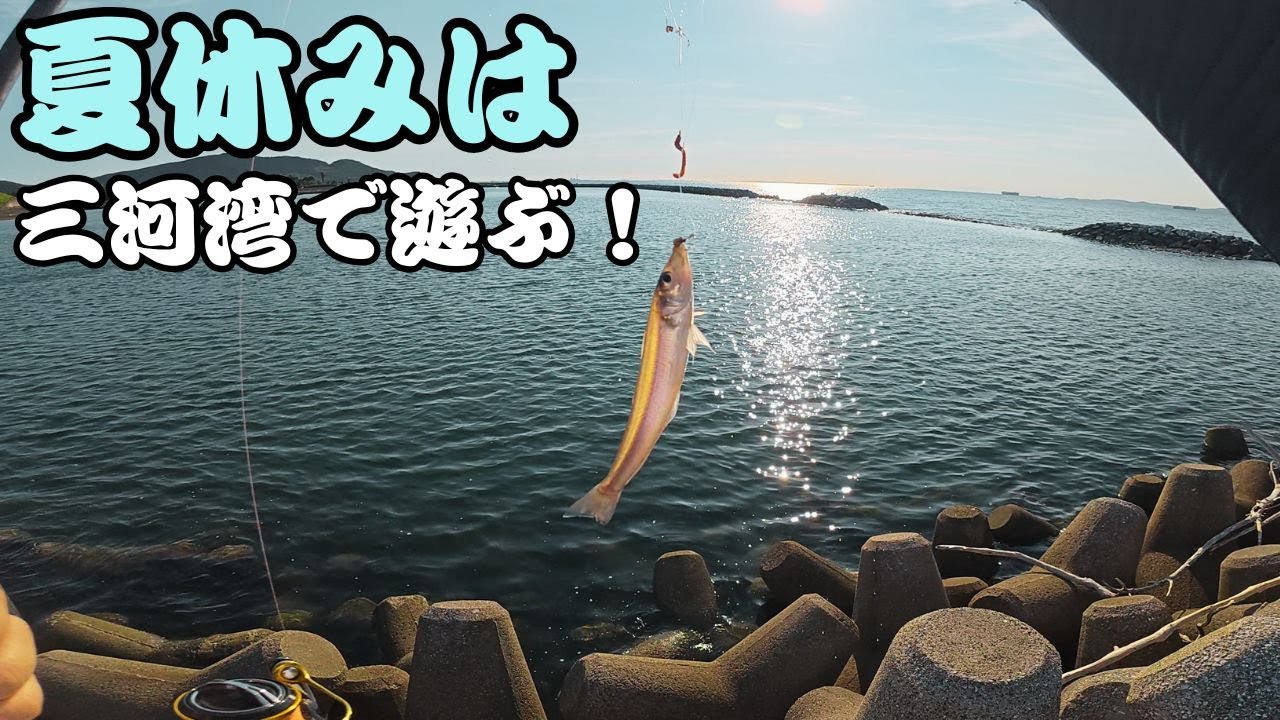【三河湾】夏休みは漁港でのんびりキス釣り＆ライトゲーム