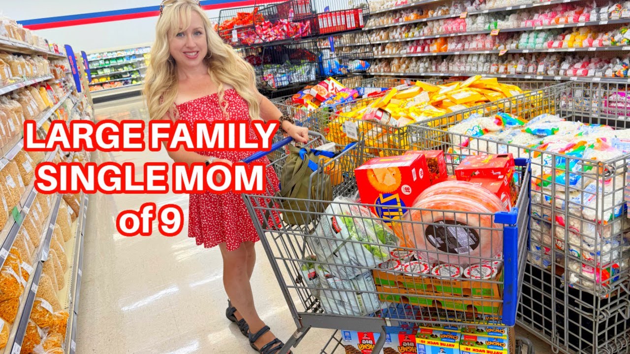 Shop with Me at America's Cheapest Grocery Store August 2025