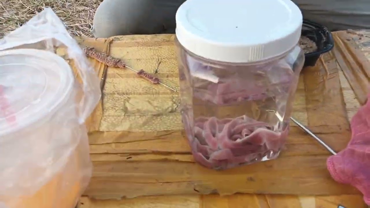 Tổng hợp những pha lên cá 🐟 siêu bựa của ae