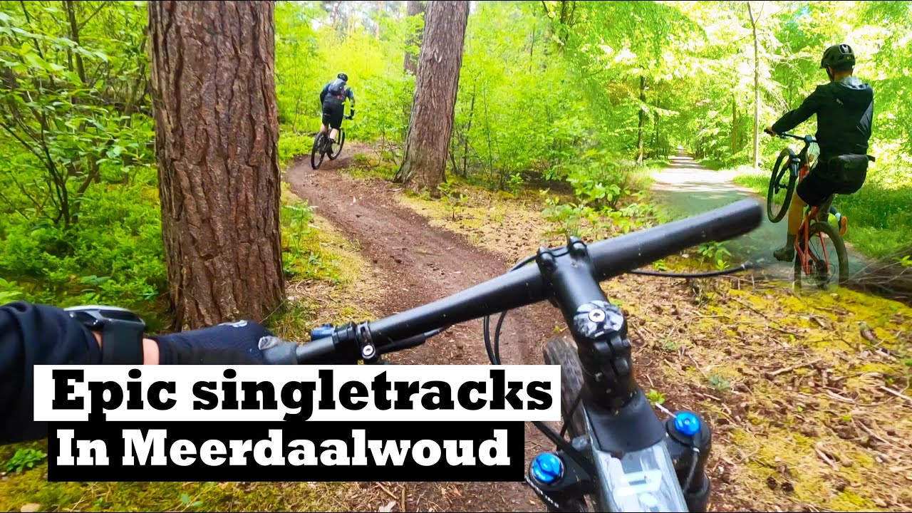 MTB Meerdaalwoud: SINGLETRACKS PARADISE in Belgium! (4k)