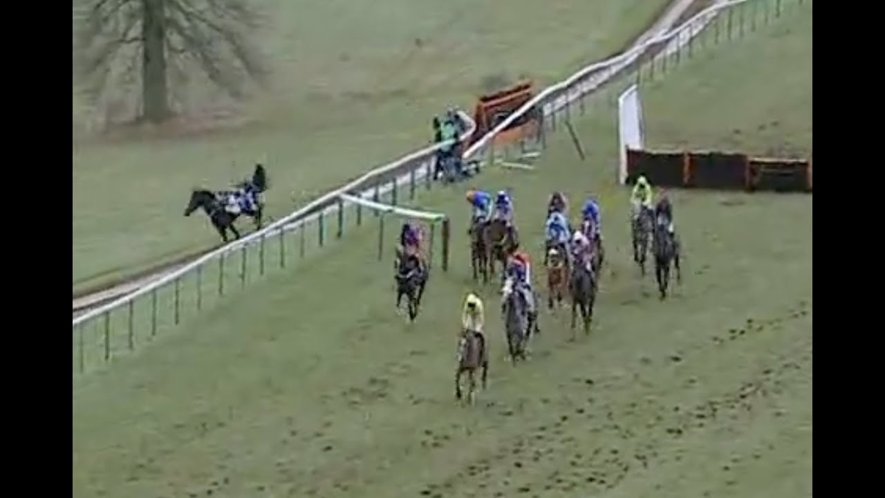 Horse Racing Death 240 - Ellie Wiggins at Towcester Racecourse