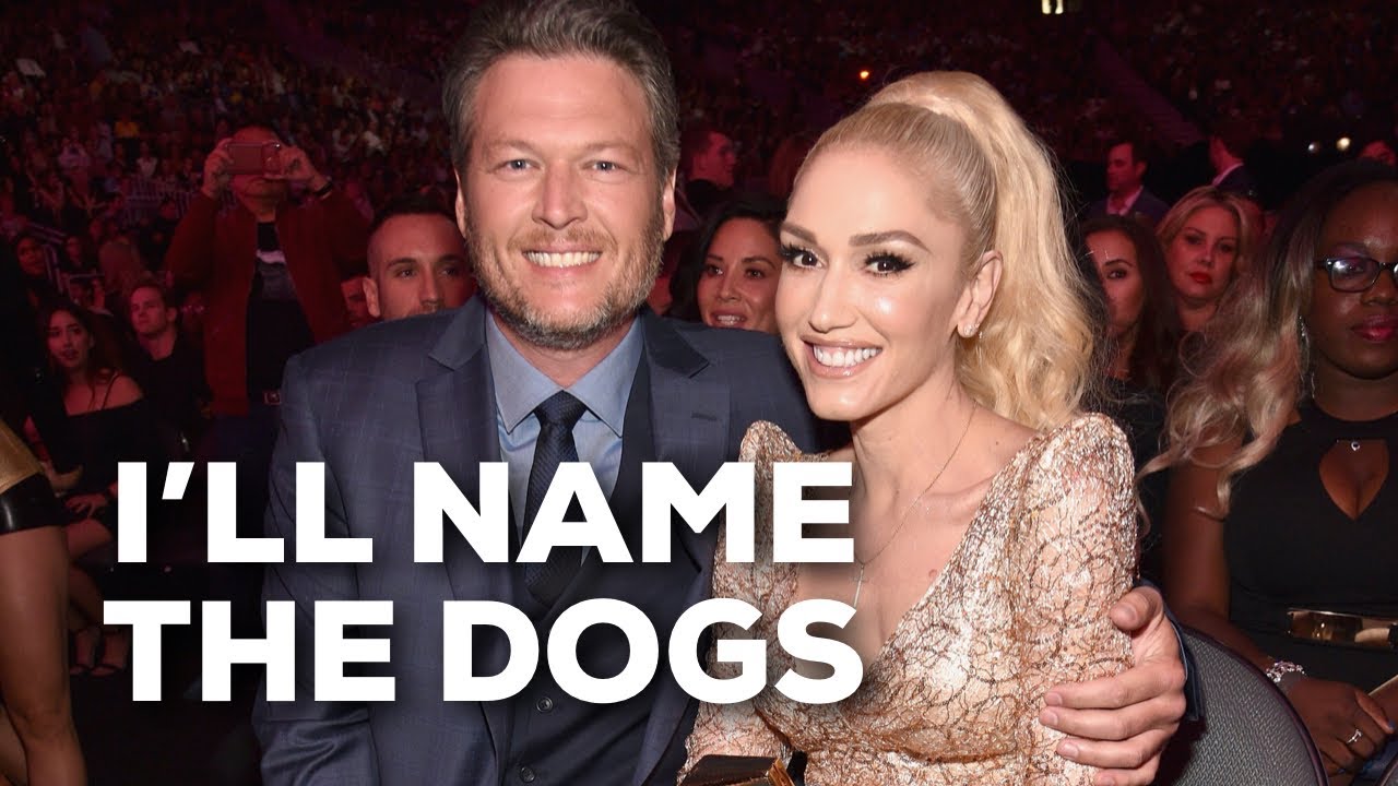 Shefani | I’ll Name The Dogs