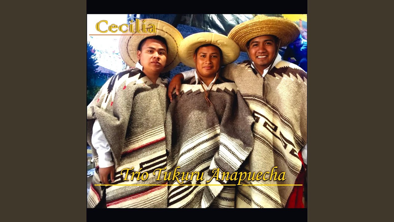 T'uri Mintsitarhurishi-jaka