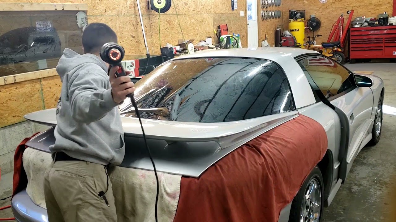TransAm Back Window Tint.