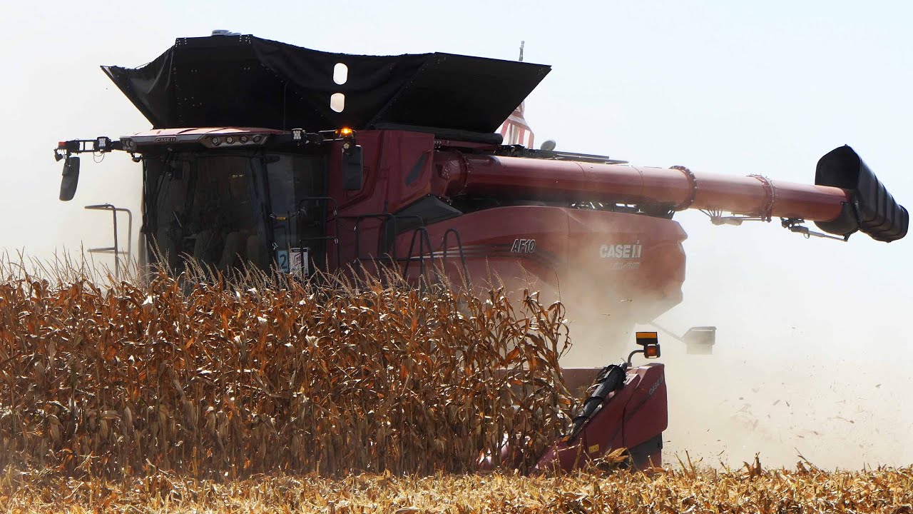 Case IH AF10 Combine Harvesting Corn with 16-row Corn Header