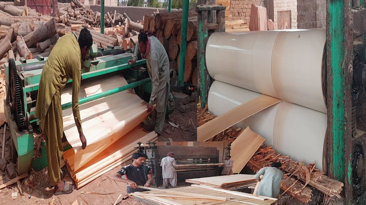 Making Wooden Sheet In Factory Amazing Process