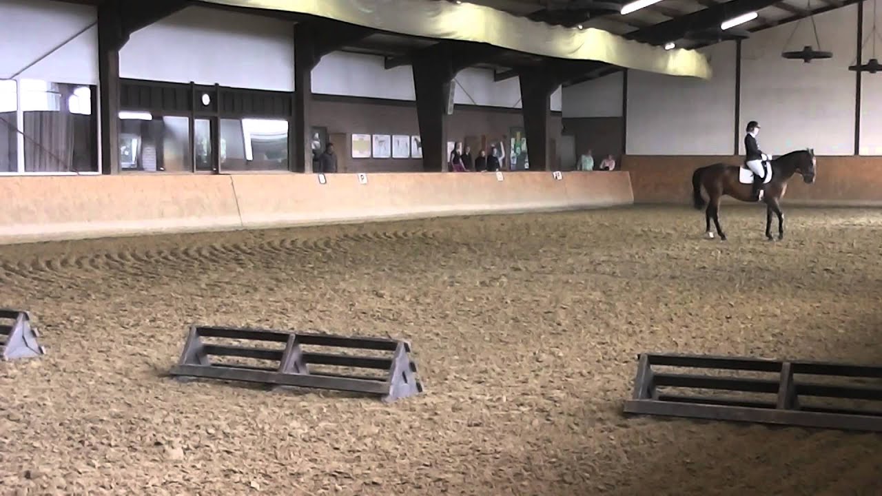 2014 Reitabzeichen Klasse 3 L-Dressur Trense Hof Schulze Niehues