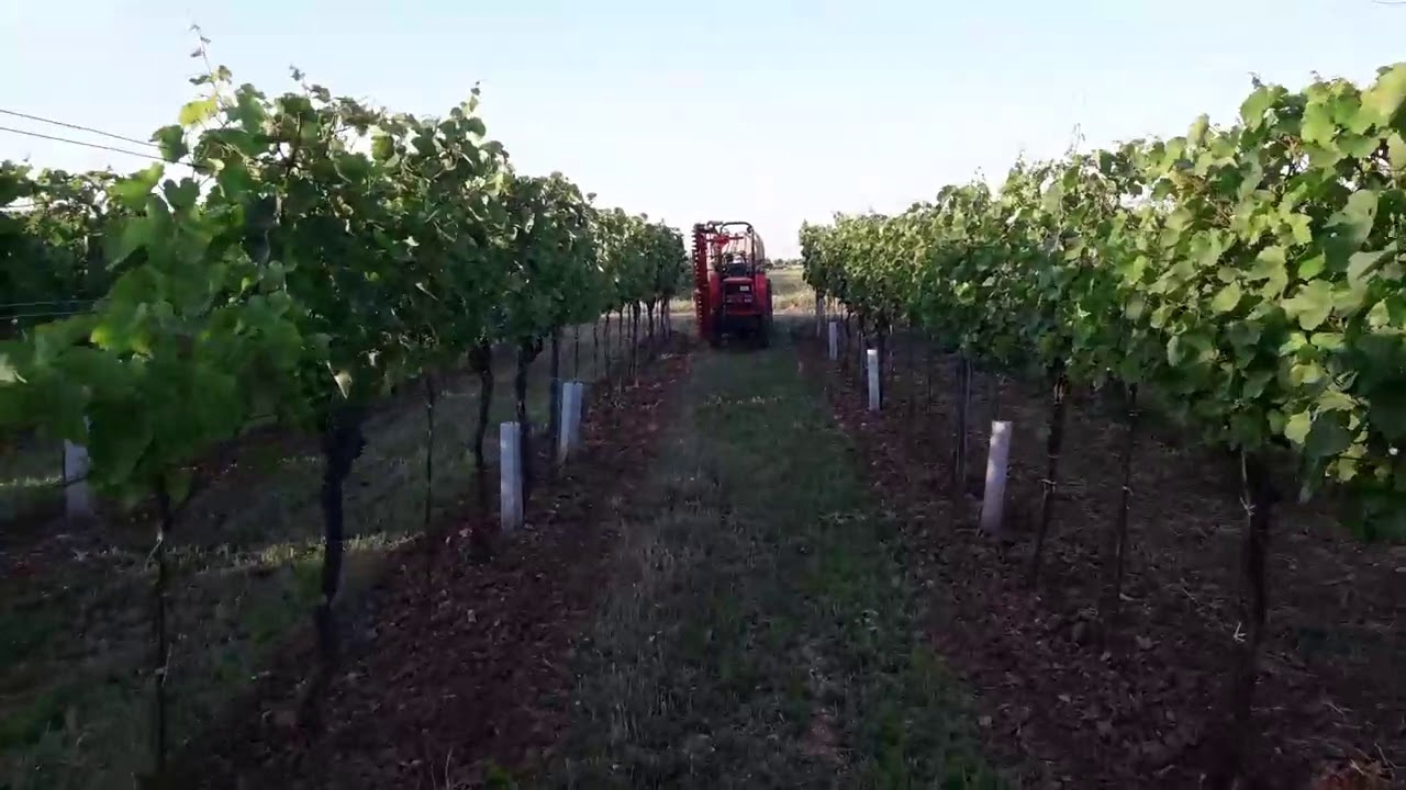 SAME Vigneron 50 DT