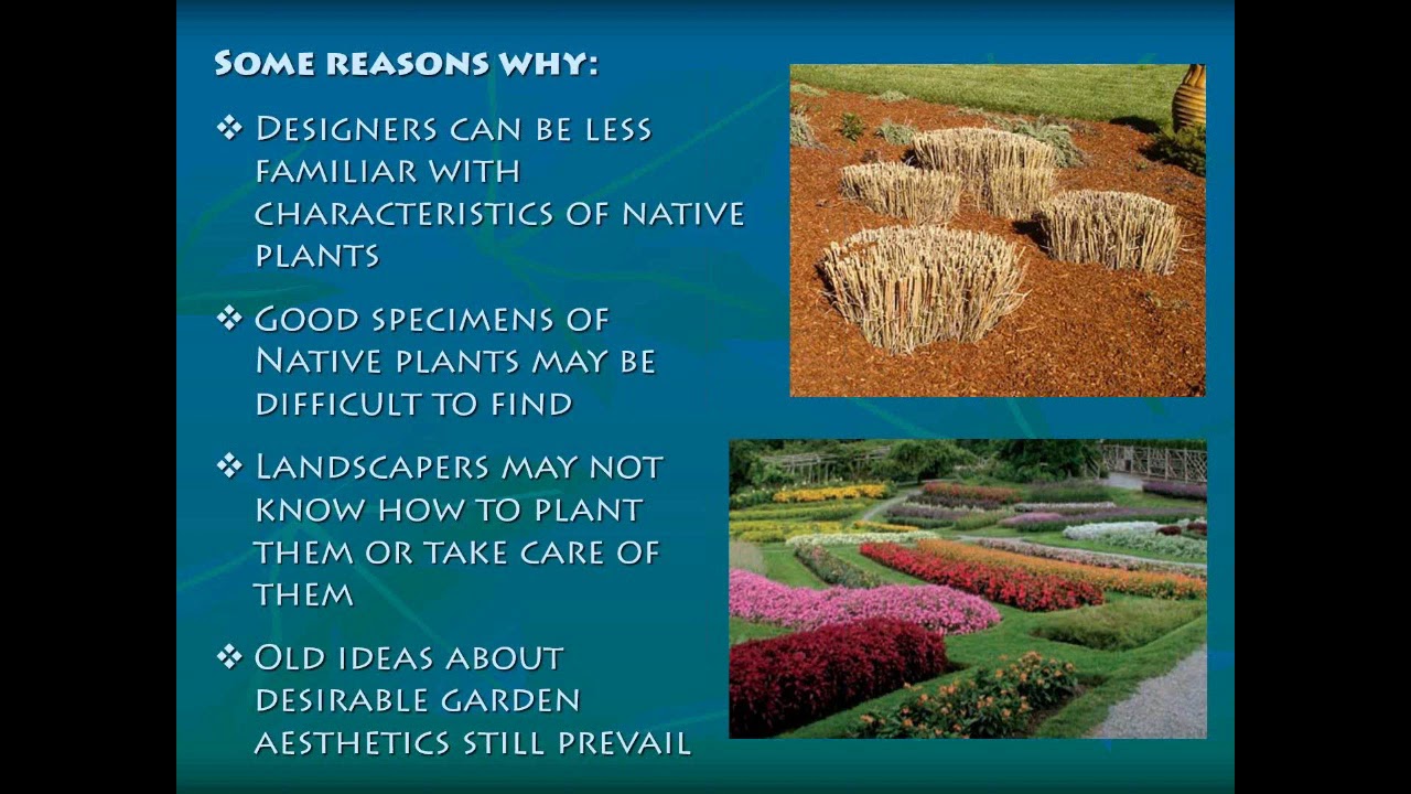 Garden Federation of Massachusetts   Native Plant Design  with Amanda Sloan 4 16 20