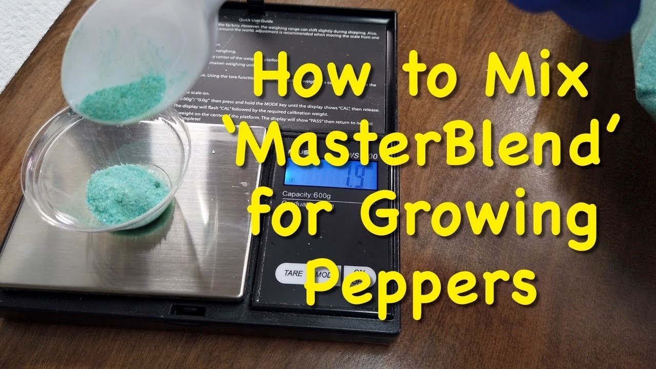Everything you need to know about mixing 'MasterBlend' (4-18-38 tomato fertilizer)