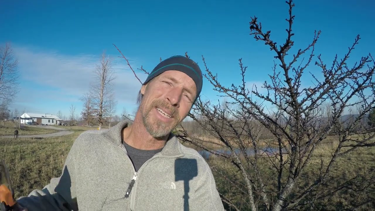 Top 5 winter garden chores for Dec Jan Feb.
