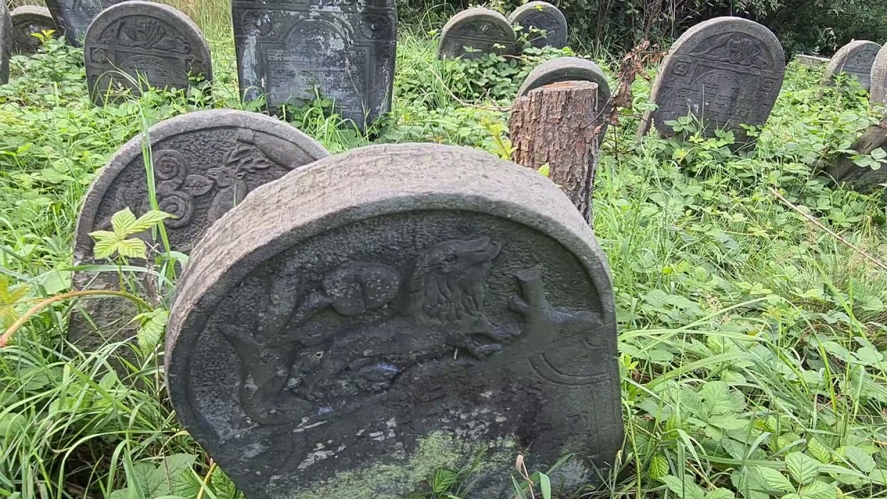 Cmentarz żydowski w Radomsku | Jewish cemetery in Radomsko