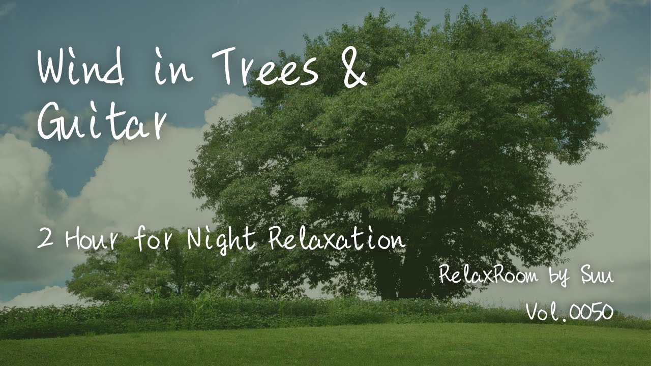 Wind in Trees & Guitar for Night Relaxation – 2 Hour