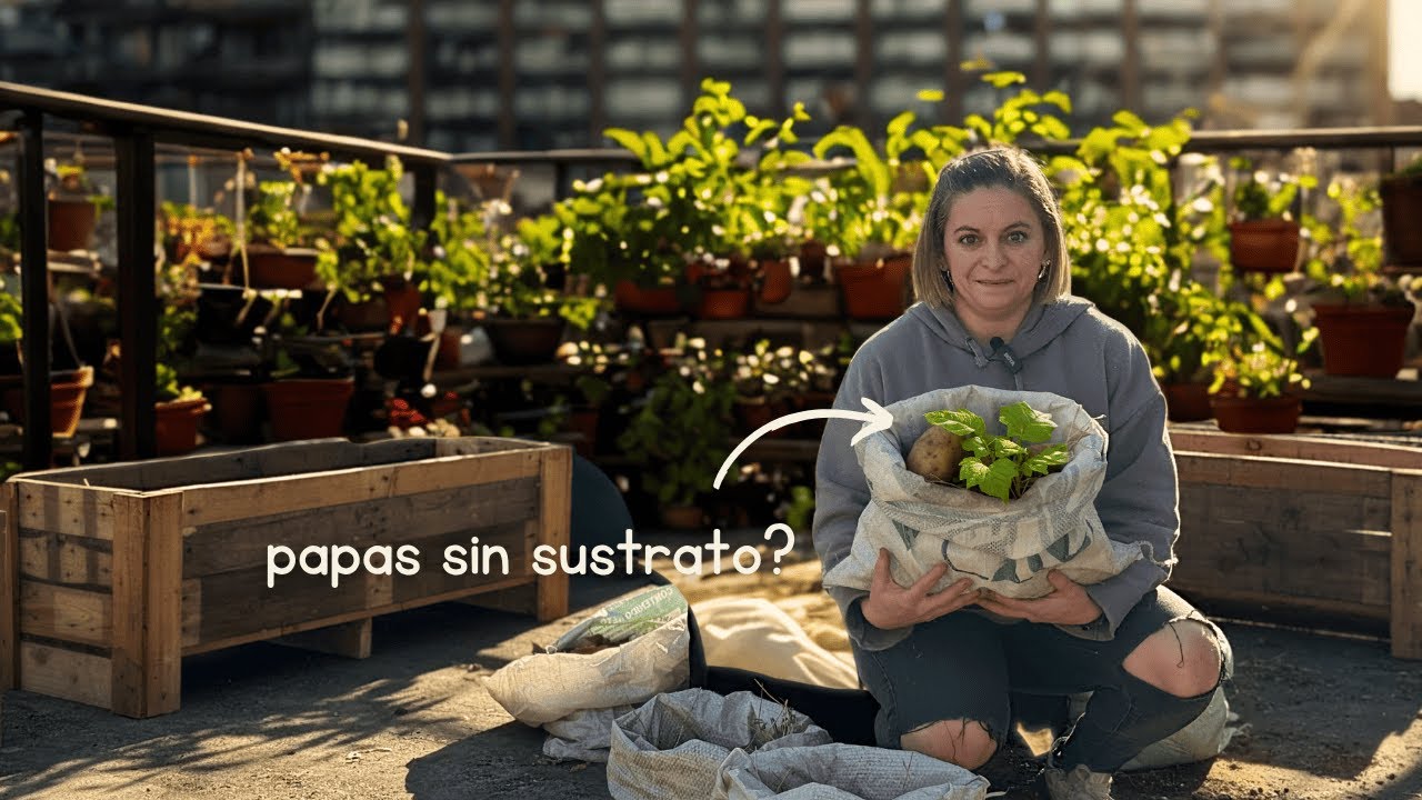 Sembrá papas en bolsa SIN esfuerzo 🌱 Método Ruth Stout paso a paso