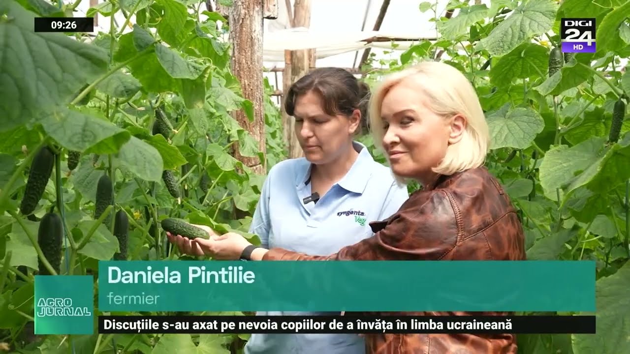 Legumele la putere: castraveți / Agro Jurnal (ep 3)