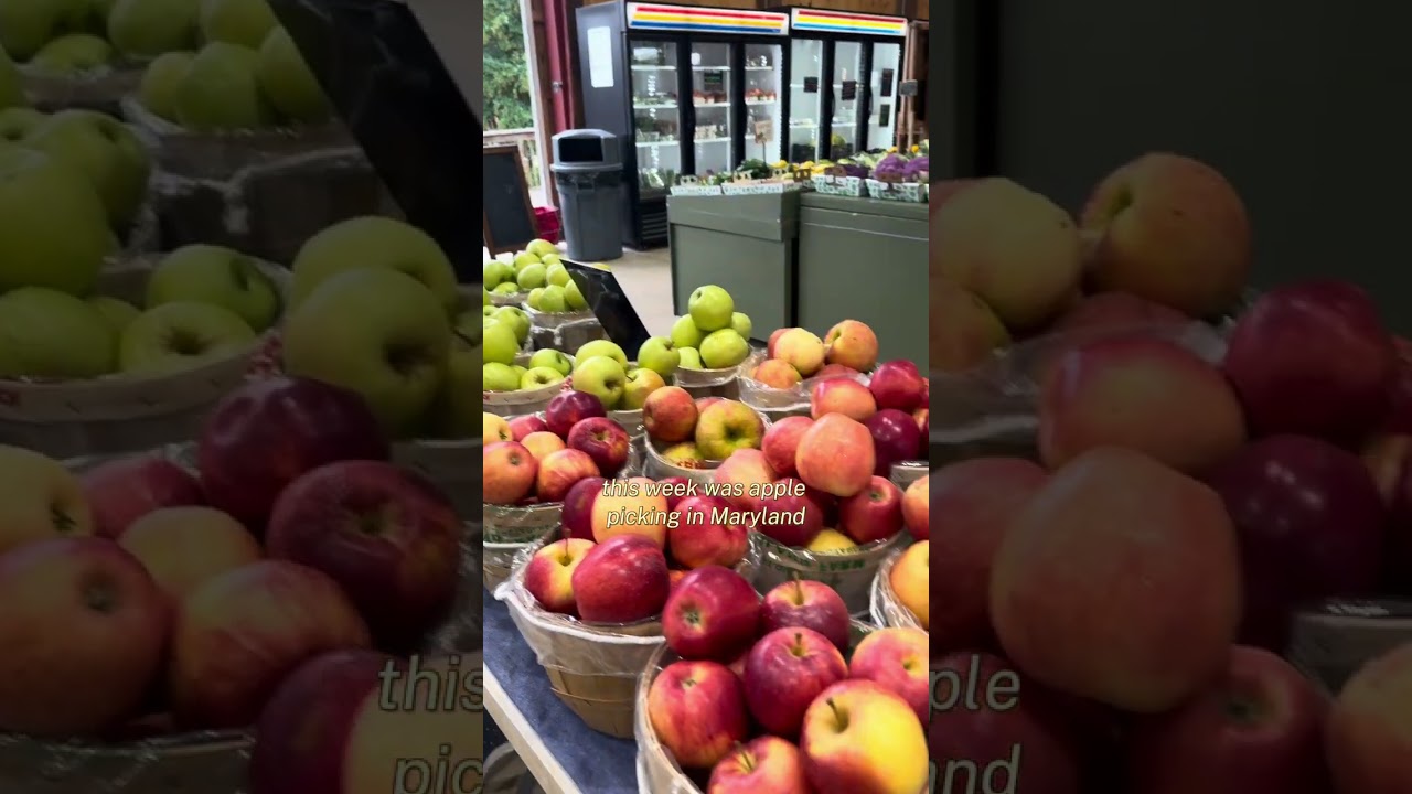 Day in the Life: Karsyn